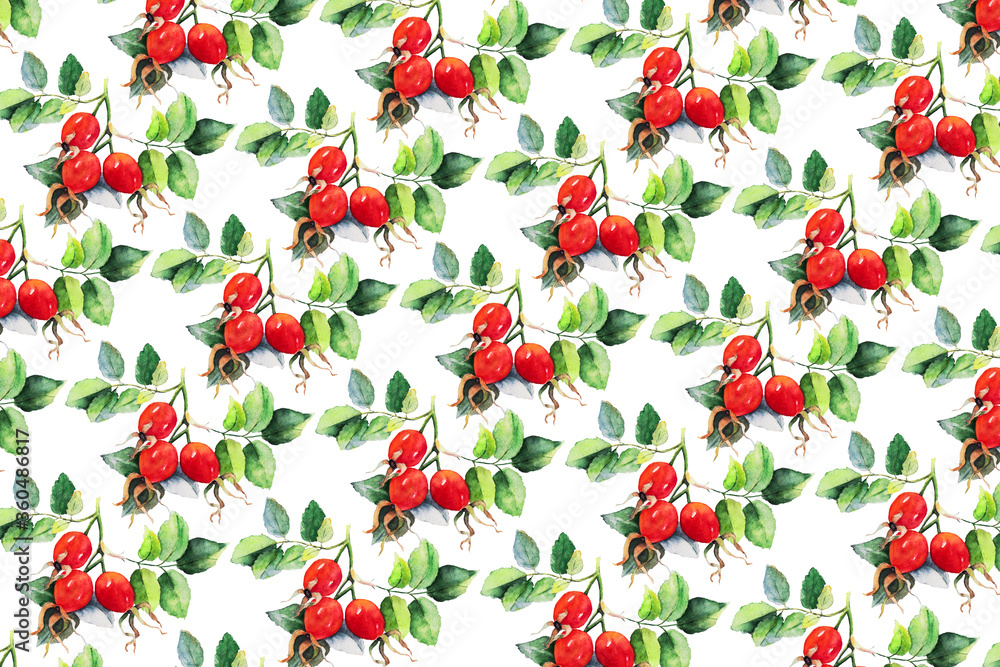 Pattern from branch of dog rose (eglantine) with three red berries and green leaves. Watercolor illustration isolated on white. Sketch hand drawn fruits of dog rose flower and leaf in Botanical style. Pattern from branch of dog rose (eglantine) with three red berries and green leaves. Watercolor illustration isolated on white. Sketch hand drawn fruits of dog rose flower and leaf in Botanical style.