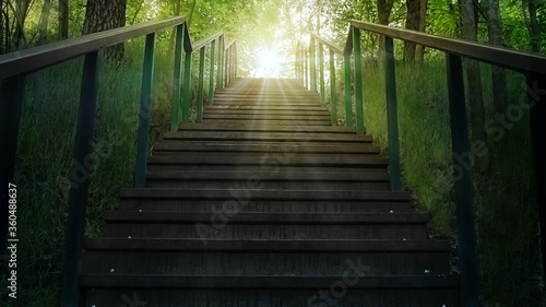 Dark park stairs in sunbeams leading to the sunny place and sun