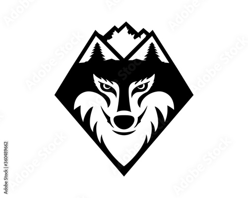 mountain wolf 