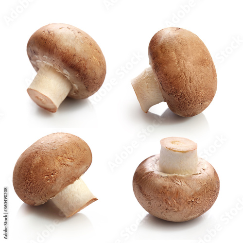 Set of brown champignons isolated on white
