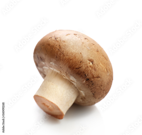 Brown champignon isolated on white