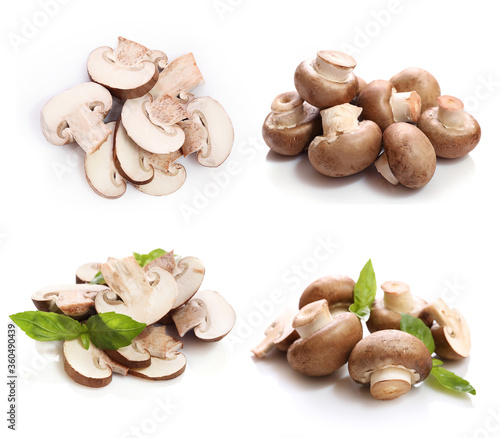 Set of brown champignons isolated on white background