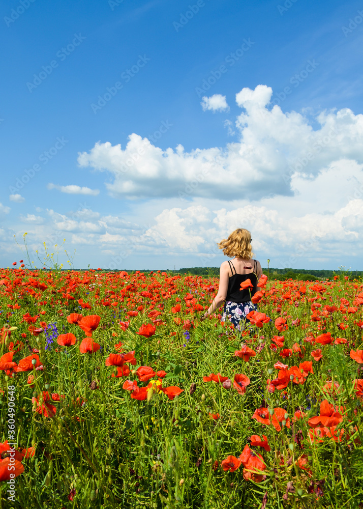 Beautiful Caucasia female in a poppy field looks into the distance. Young girl with blond hair developing in the wind stands in a poppy field against a blue sky with clouds. A lot of red poppies.
