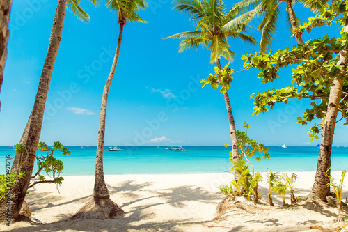 Beautiful landscape of tropical beach on Boracay island  Philippines. Coconut palm trees  sea  sailboat and white sand. Nature view. Summer vacation concept.
