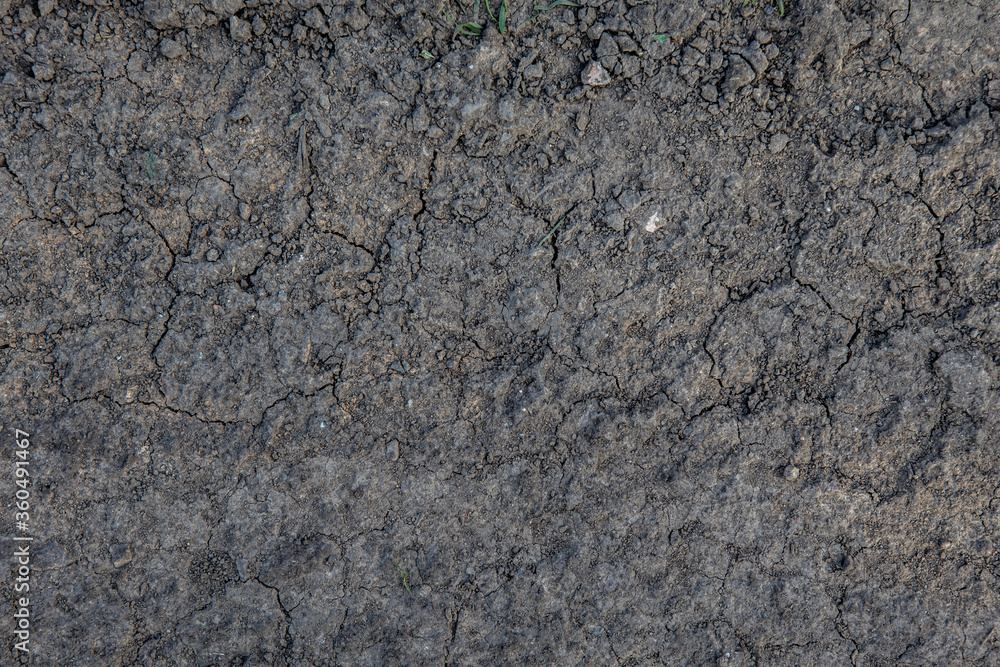 texture and background of cracked earth, soaked by the rain texture and background of cracked earth, soaked by the rain