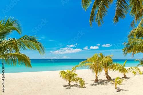 Beautiful landscape of tropical beach on Boracay island  Philippines. Coconut palm trees  sea  sailboat and white sand. Nature view. Summer vacation concept.