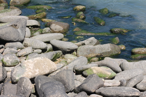 Sea pebble. Sea stones background. Beach rocks.