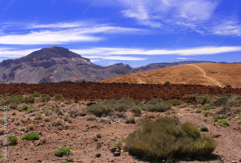 Volcanic  landscape  near volcano Teide with blue sky. Tenerife. Canary islands.