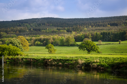 Natural green landscape of Ireland