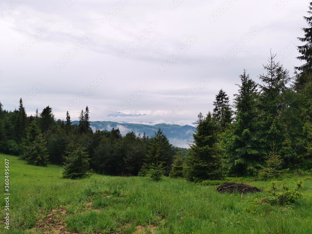 Poland Beskid Sadecki Jaworki. Mountain clearing in the distance Tatra mountains seen from behind the clouds.