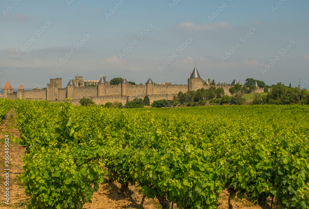 Carcassonne from a vineyard outside the walls