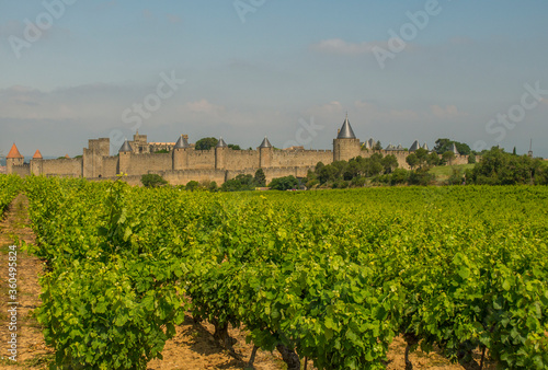 Carcassonne from a vineyard outside the walls