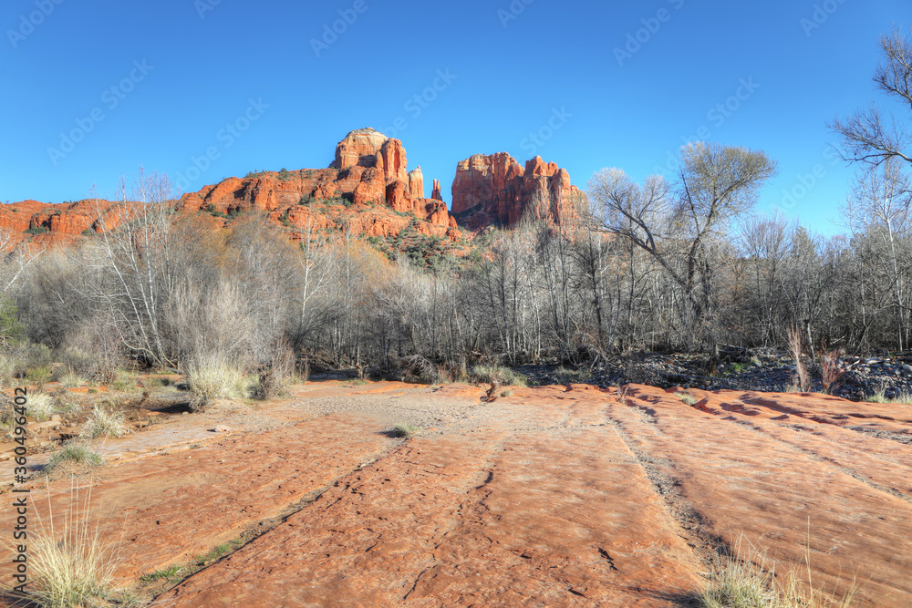 Fototapeta premium View of Cathedral Rock in Sedona, Arizona, United States