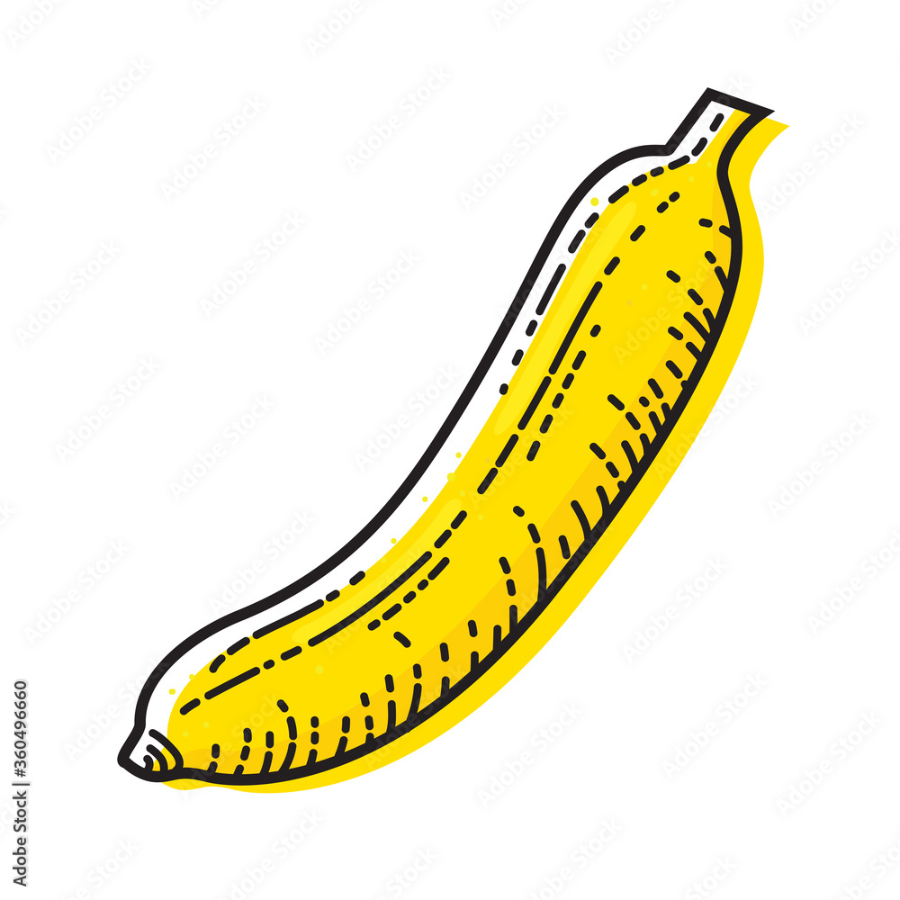 Banana isolated on white background. Vector illustration of fruit.