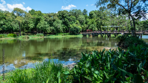 The park has trees, marshes, bridges over the marshes.