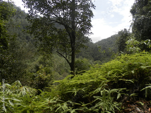 Nature Photos from Sri Lanka