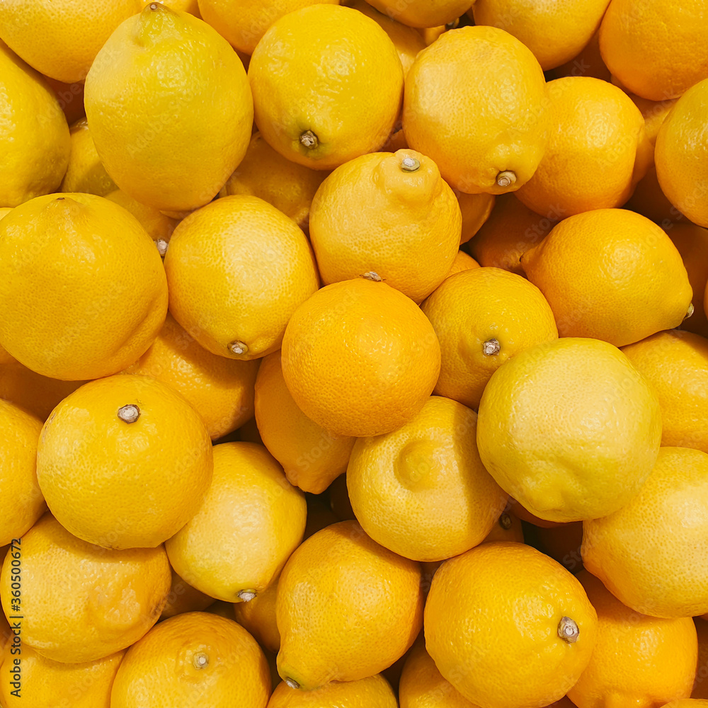 Harvest of fresh lemons. Lemons pattern, square photo, flat lay. Harvest of fresh lemons. Lemons pattern, square photo, flat lay.