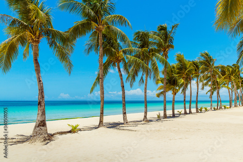 Beautiful landscape of tropical beach on Boracay island  Philippines under lockdoun. Coconut palm trees  sea  sailboat and white sand. Nature view. Summer vacation concept.