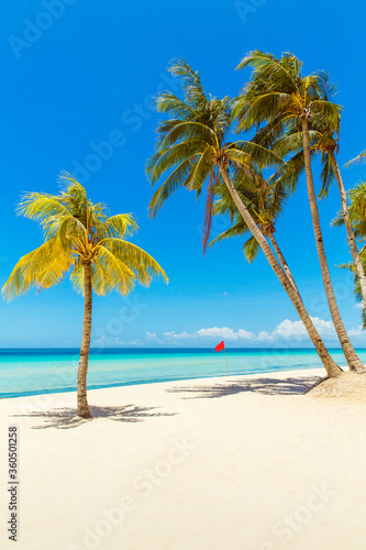 Fototapeta Naklejka Na Ścianę i Meble -  Beautiful landscape of tropical beach on Boracay island, Philippines. Coconut palm trees, sea, sailboat and white sand. Nature view. Summer vacation concept.