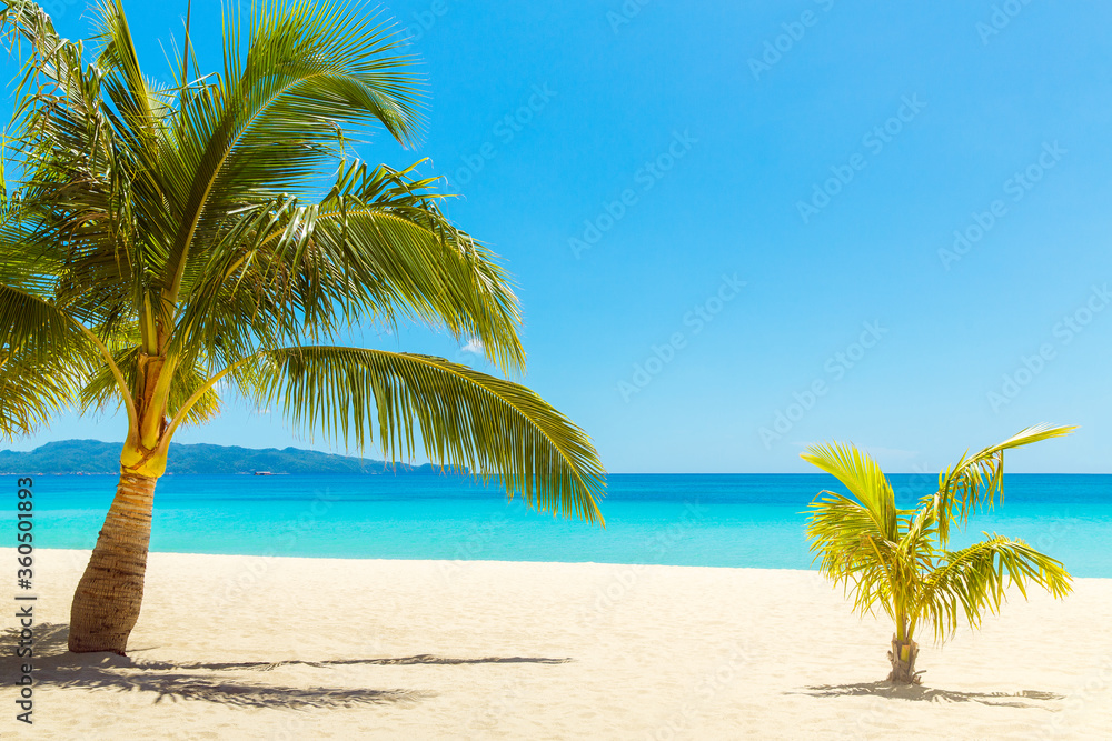 Fototapeta premium Beautiful landscape of tropical beach on Boracay island, Philippines. Coconut palm trees, sea, sailboat and white sand. Nature view. Summer vacation concept.