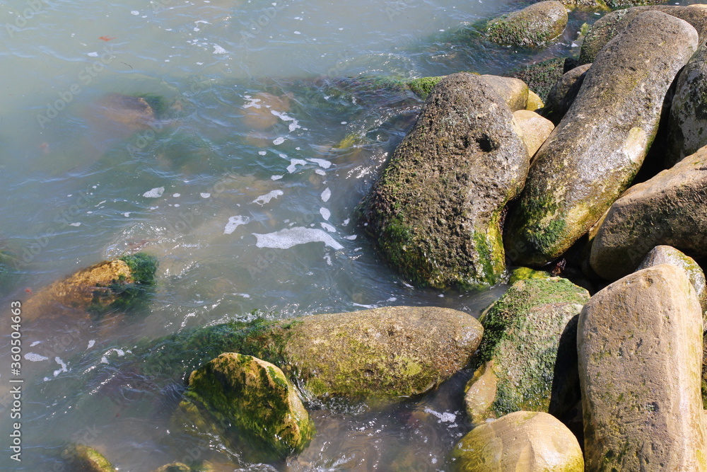 Fototapeta premium Sea pebble. Sea stones background. Ocean beach rocks.