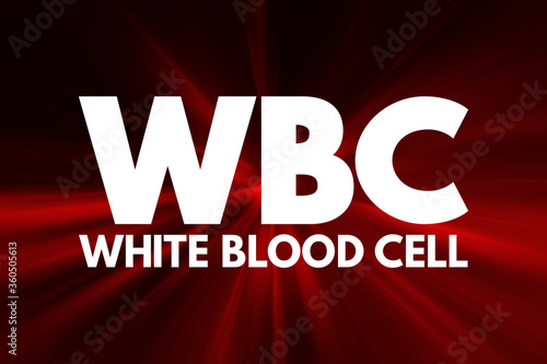 WBC - White Blood Cell acronym, medical concept background photo