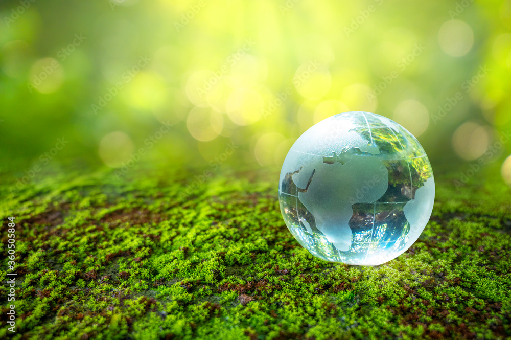 A man with a glass globe Concept day earth Save the world save environment The world is in the grass of the green bokeh background A man with a glass globe Concept day earth Save the world save environment The world is in the grass of the green bokeh background