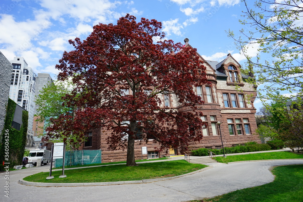 University of Toronto Campus landscape in spring University of Toronto Campus landscape in spring