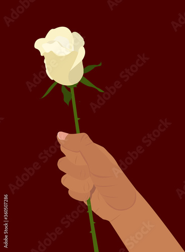 Hand holding a white rose. Template cards, invitations. Vector illustration. Element for your design