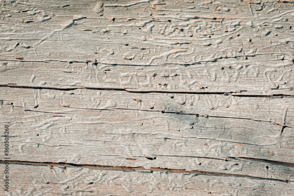 Old faded dull pine natural wood background Old faded dull pine natural wood background