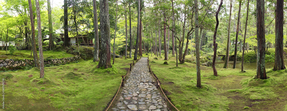 Obraz premium Wide panorama of the impressive moss garden in Kyoto (Saiho-ji temple)