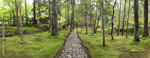 Wide panorama of the impressive moss garden in Kyoto (Saiho-ji temple)