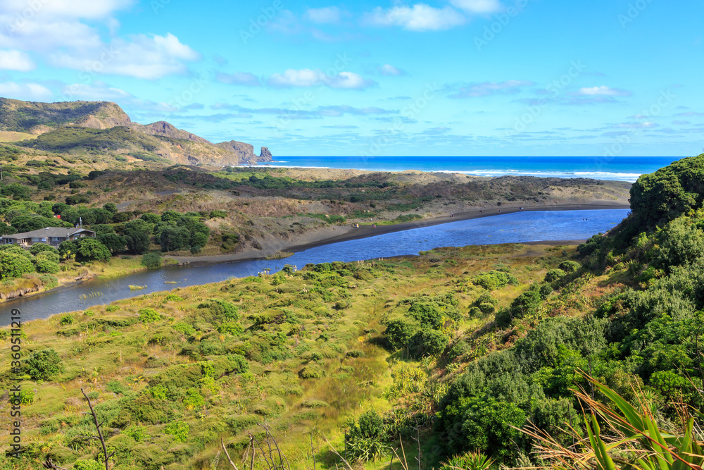 Obraz premium Bethells Beach in the western Auckland Region, New Zealand. The Waitakere River runs through the sand dunes down to the ocean
