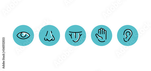 Five basic human senses - touch, sight, hearing, smell and taste - Sensing organs - eye, mouth, ear, nose and hand, medical icons collection - set of isolated vector pictograms