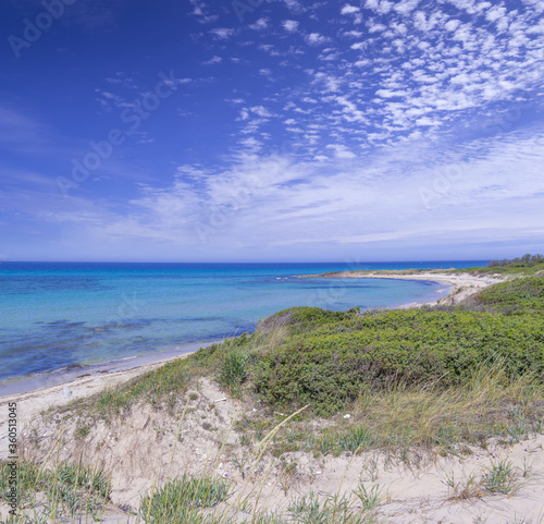 Summer beach.Torre Guaceto Nature Reserve: panoramic view of the coast from the dunes.Italy (Apulia). Mediterranean maquis: a nature sanctuary between the land and the sea. © vololibero