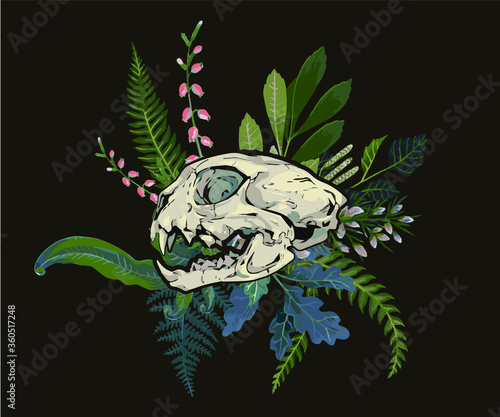 Skully of cat. Can be used for t-shirt print, poster, card, tattoo. Ideal for Halloween, the Day of the Dead, веточки лисных растений, папоратник и травы, Tattoo, Boho print. Vintage engraving. Vintag