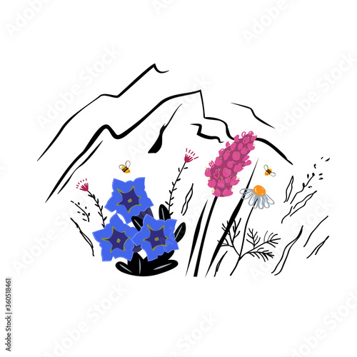 Mountain flowers vector sketch illustration. Alpine honey concept