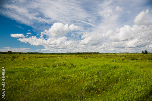 a prarie and grasland in eastern North Dakota.