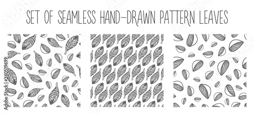 Set of hand-drawn seamless pattern leaves. Doodle exotic leaves a seamless set.