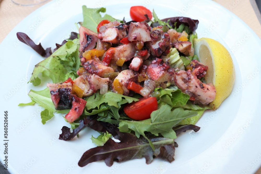 Salade de poulpe avec tomates cerises et salade verte dans une assiette blanche Salade de poulpe avec tomates cerises et salade verte dans une assiette blanche