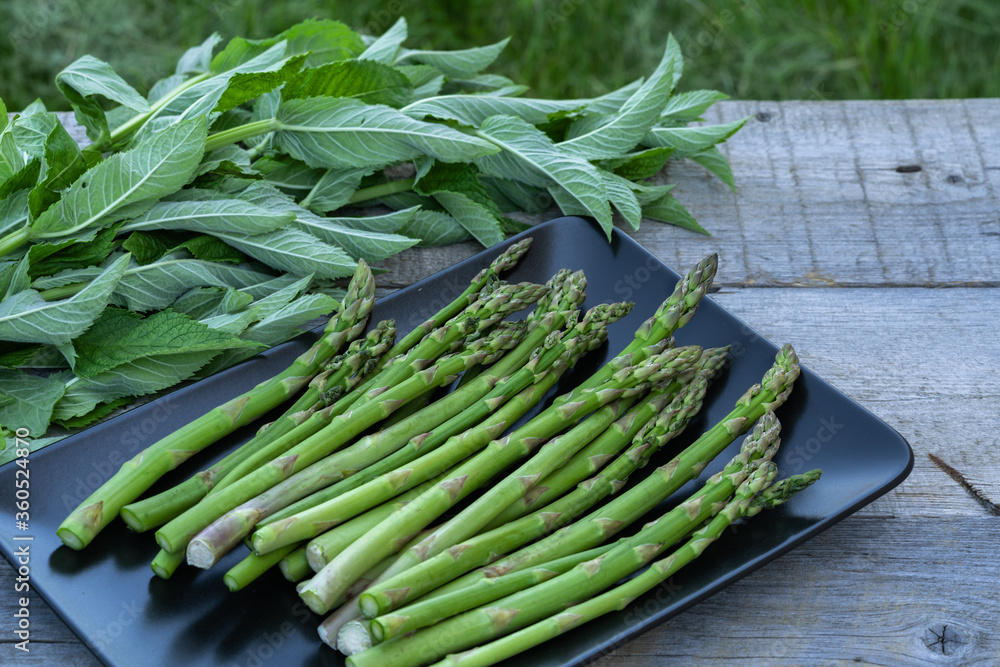 Fototapeta premium Fresh green asparagus spears on wooden table outdoor.