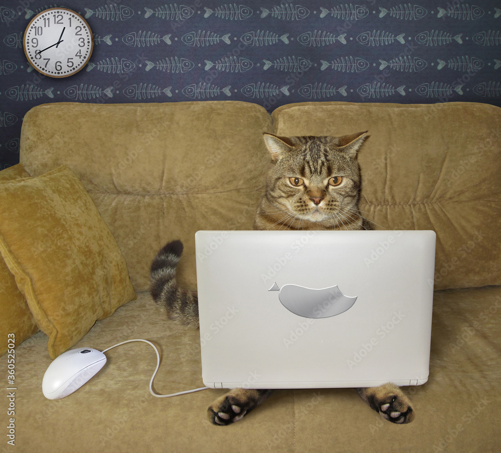 The beige cat is using a silver laptop on a sofa at home. A white computer mouse is next to him. The beige cat is using a silver laptop on a sofa at home. A white computer mouse is next to him.