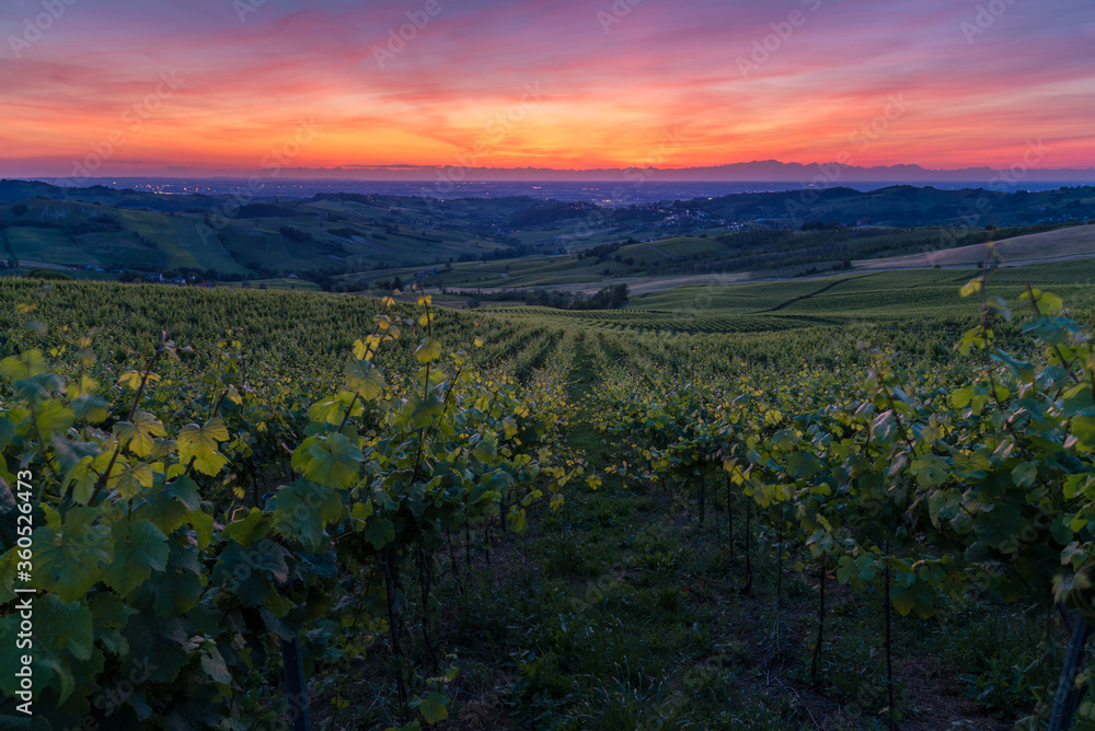 Amazing red and purple sunset over Oltrepo' Pavese hills with wineyards and country roads