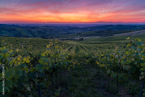 Amazing red and purple sunset over Oltrepo' Pavese hills with wineyards and country roads