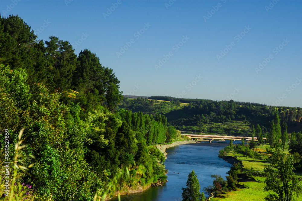 Fototapeta premium paisajes naturaleza campo flores pastizales bobinos volcanes rio Chile Sudamerica cascada arboles
