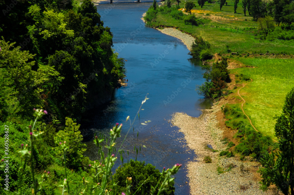 paisajes naturaleza campo flores pastizales bobinos volcanes rio Chile Sudamerica cascada arboles paisajes naturaleza campo flores pastizales bobinos volcanes rio Chile Sudamerica cascada arboles