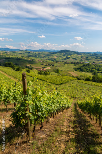 Oltrepo' Pavese landscape hills with wineyards and country roads and Montalto Pavese castle in the background in a sunny day
