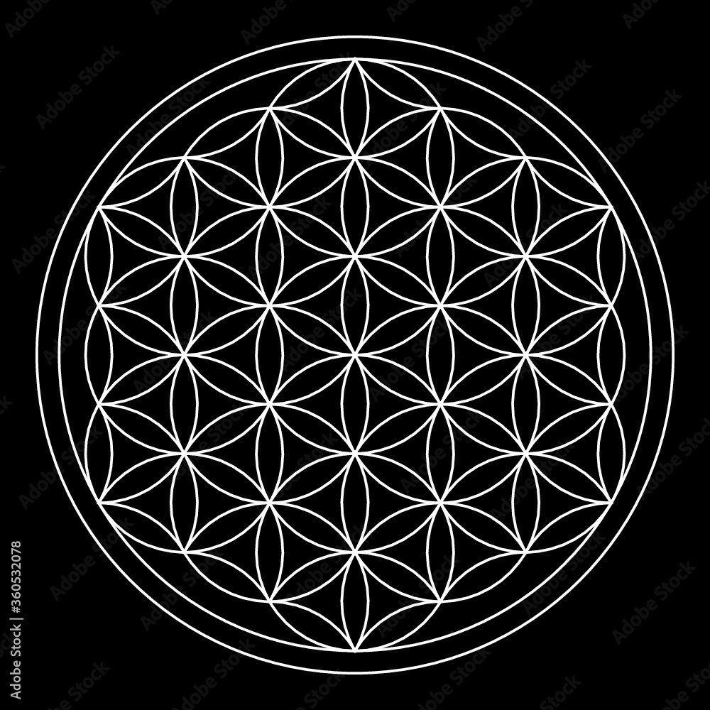 Flower of life, abstract geometric shape Flower of life, abstract geometric shape