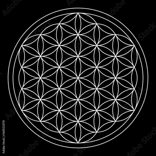 Flower of life, abstract geometric shape