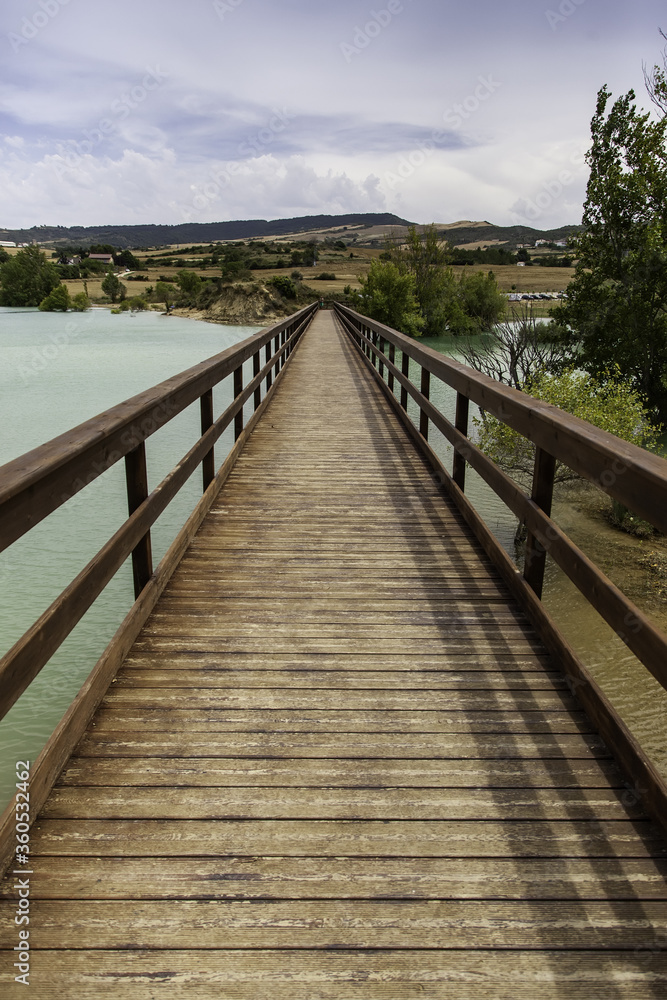 Bridge in swamp